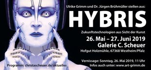 Flyer zu HYBRIS